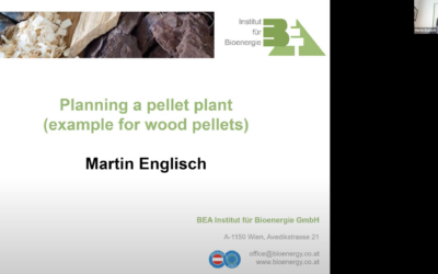 Latest technology developments in biomass pellet and briquette production